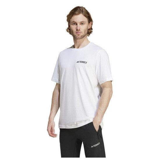 Adidas Ανδρική κοντομάνικη μπλούζα Terrex Mountain Graphic Tee